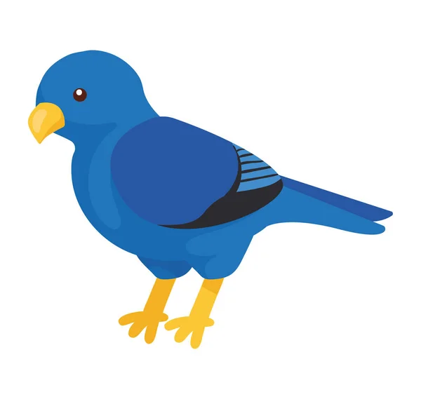 Ícone Especiaria Animal Pássaro Azul — Vetor de Stock
