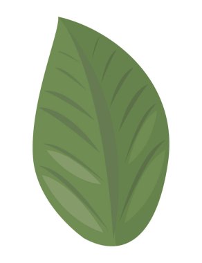 Yaprak bitkisi doğa yeşil simgesi