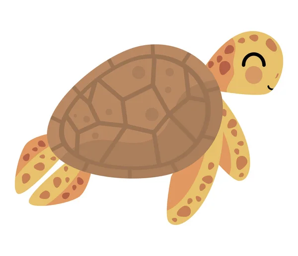 Turtle Sealife Animal Creature Icon — Archivo Imágenes Vectoriales