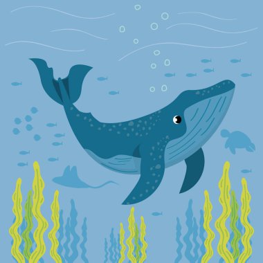 Balina deniz altı deniz canlıları