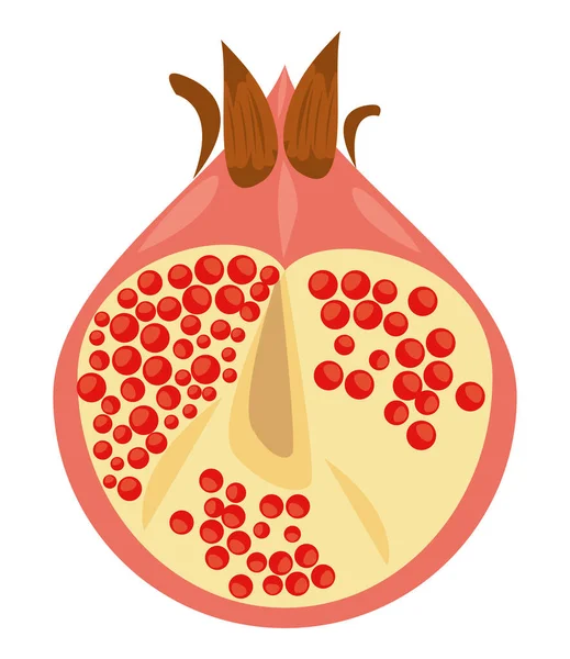 Half Pomegranate Fresh Fruit Icon — Stock Vector