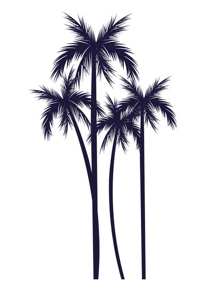 Trees Palms Silhouettes Tropical Icon — ストックベクタ