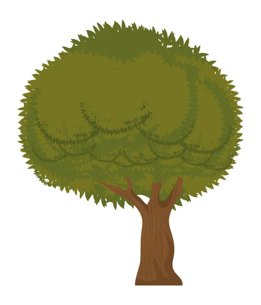 Grüne Baumpflanze Natur Ikone — Stockvektor