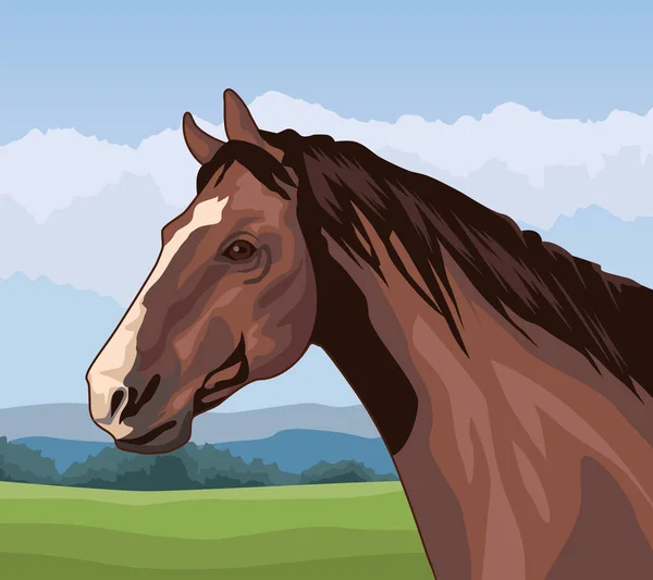 Ζώο Άλογο Στο Τοπίο Σκηνή — Διανυσματικό Αρχείο