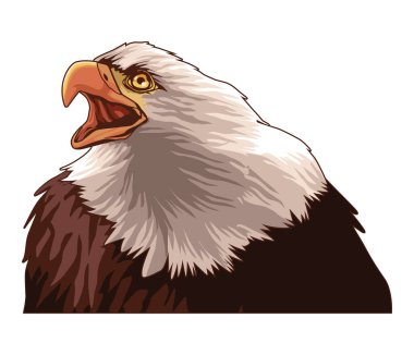 Kel kartal vahşi hayvan simgesi