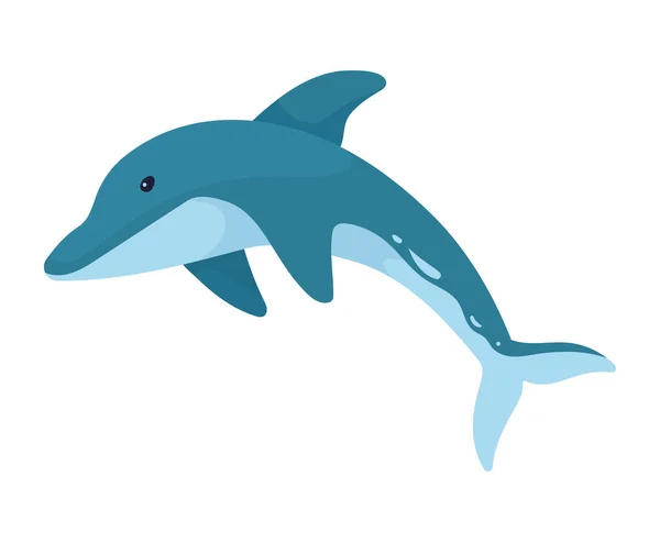 Dolphin Sealife Animal Fauna Character — Wektor stockowy