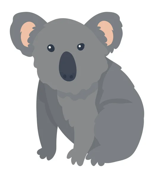 Cute Koala Animal Wild Character — Wektor stockowy