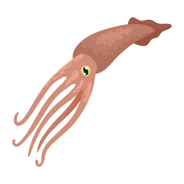 Karakter Squid Sealife Hewan Fauna - Stok Vektor