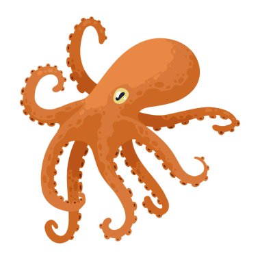 octopus sealife animal fauna character