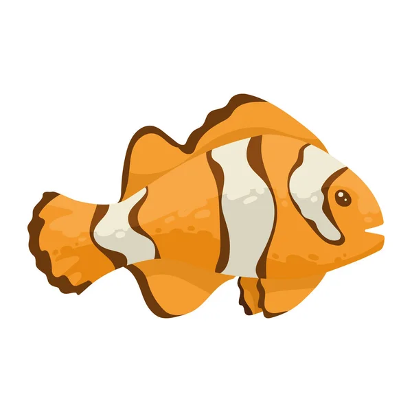 Clownfish Sealife Animal Fauna Character — Stock Vector