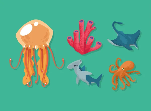 Sealife Wild Five Animals Characters — ストックベクタ