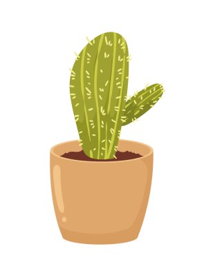 Kaktüs saksı simgesinde