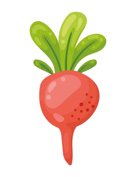 Beet Fresh Vegetable Nature Icon — Stockvector