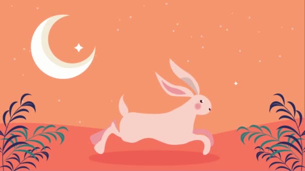 Cute Rabbit Running Night Animation Video Animated — Vídeo de Stock