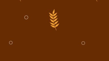 Kulak arpası desen animasyonu, 4k video animasyonu