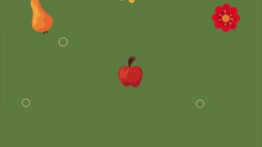 autumn fruits and flowers pattern , 4k video animated