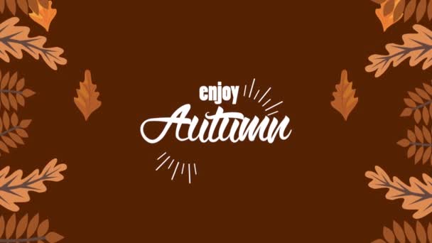 Hello Autumn Lettering Video Animated — Video Stock