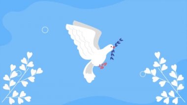 peace dove bird flying animation ,4k video animated
