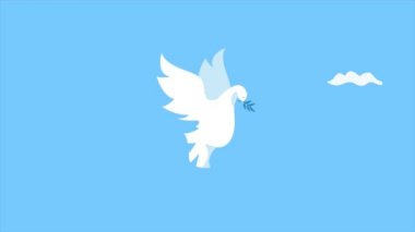 peace dove with olive branch animation ,4k video animated