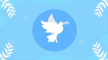 peace dove flying silhouette animation,4k video animated