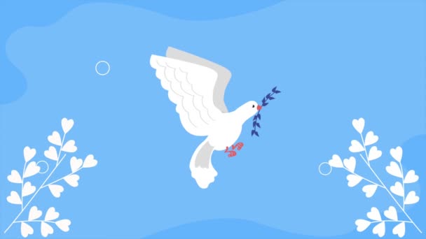 Peace Dove Bird Flying Animation Video Animated — 비디오