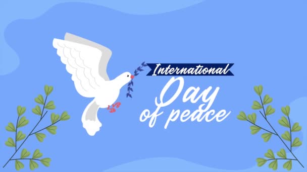 International Day Peace Lettering Dove Video Animated — стоковое видео