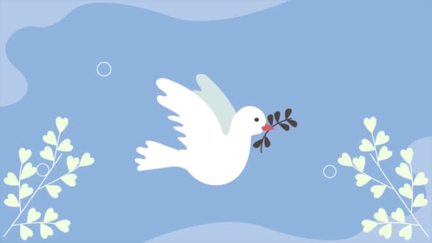 Gołąb Pokojowy Animacją Gałęzi Animacja Wideo — Wideo stockowe