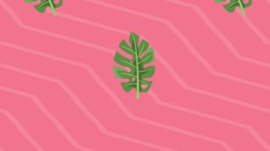 Çapraz çizgili tropikal yapraklar, 4k video animasyonu