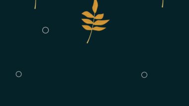 Siyah arkaplanda tropikal yapraklar, 4k video animasyonu