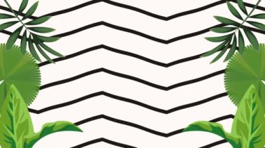 Çizgili arka planda tropikal yapraklar, 4k video animasyonu