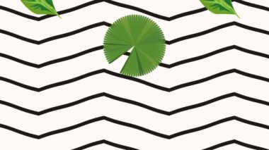 Beyaz arkaplanda tropikal yapraklar, 4k video animasyonu