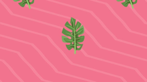 Tropical Leafs Diagonal Stripes Video Animated — Vídeo de Stock