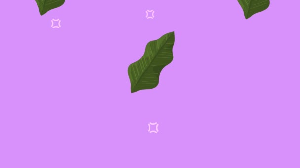 Tropical Leafs Lilac Background Video Animated — Wideo stockowe