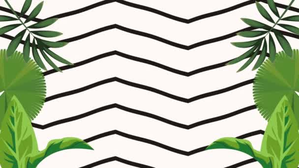 Tropical Leafs Striped Background Video Animated — Stockvideo