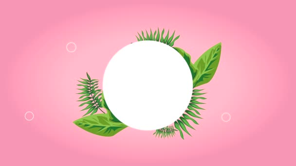 Tropical Leafs Circular Frame Video Animated — Wideo stockowe