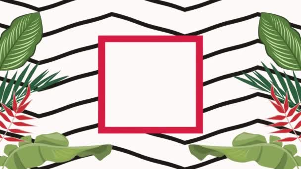 Tropical Leafs Square Frame Video Animated — Stockvideo
