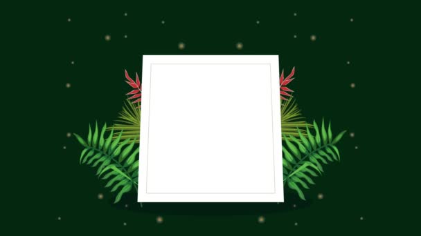 Tropical Leafs Square Frame Video Animated — Vídeos de Stock
