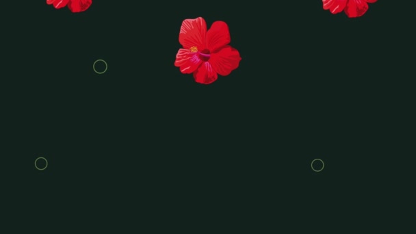Red Tropical Flowers Pattern Animation Video Animated — Stockvideo