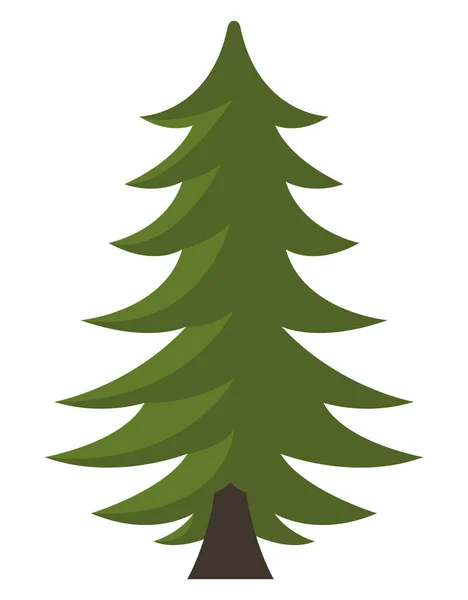 Barrträd Växt Ikon — Stock vektor