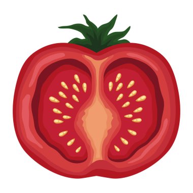 fresh tomato half vegetable icon