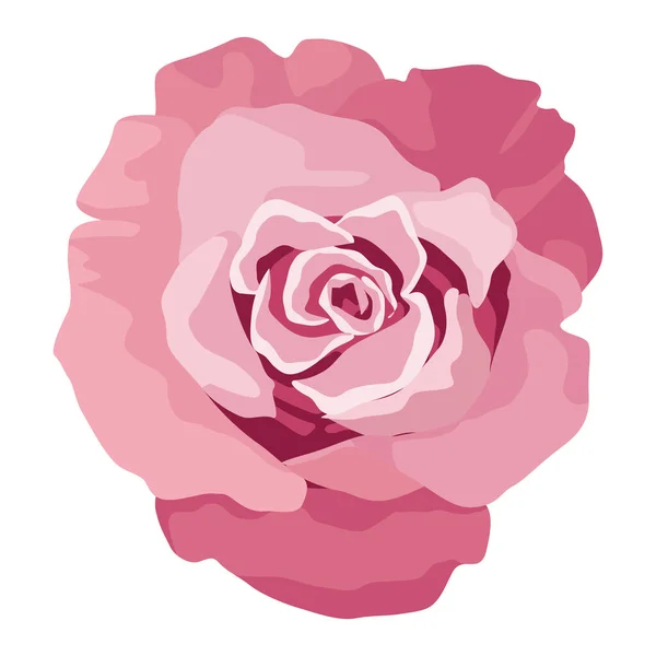 Roze Roos Bloem Natuur Pictogram — Stockvector