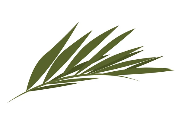 Palm Leave Plant Foliage Nature Icon — Image vectorielle