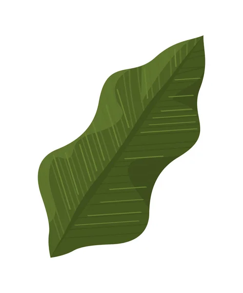 Green Leaf Plant Foliage Nature Icon — Vettoriale Stock