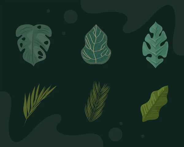 Six Leafs Plant Foliage Nature Icon — Stockvector
