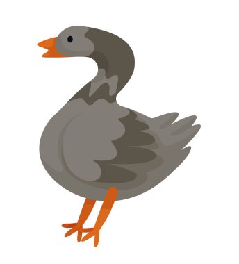 goose domestic farm animal character
