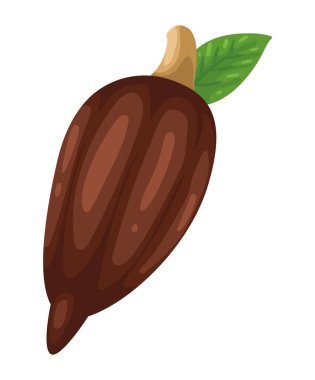 cocoa fruit plant nature icon