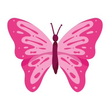 pink butterfly flying isolated icon