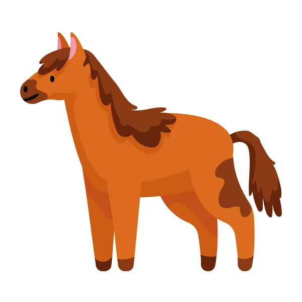 Horse Domestic Farm Animal Character — Stock vektor