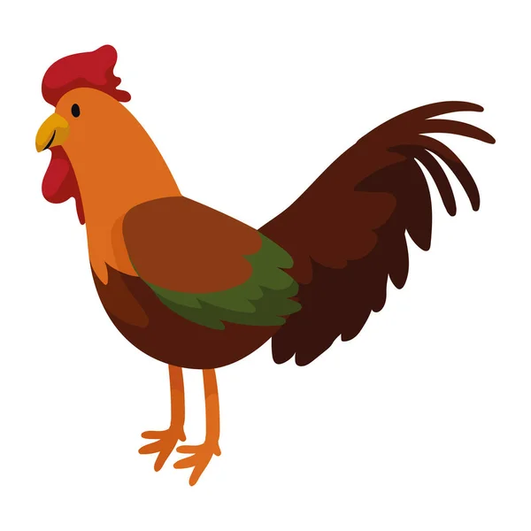 Rooster Domestic Farm Animal Character — Stockvector