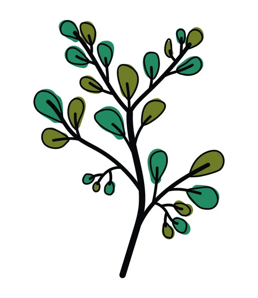Φύλλα Φυλλώματος Φυτών Εικονίδιο Της Φύσης — Διανυσματικό Αρχείο